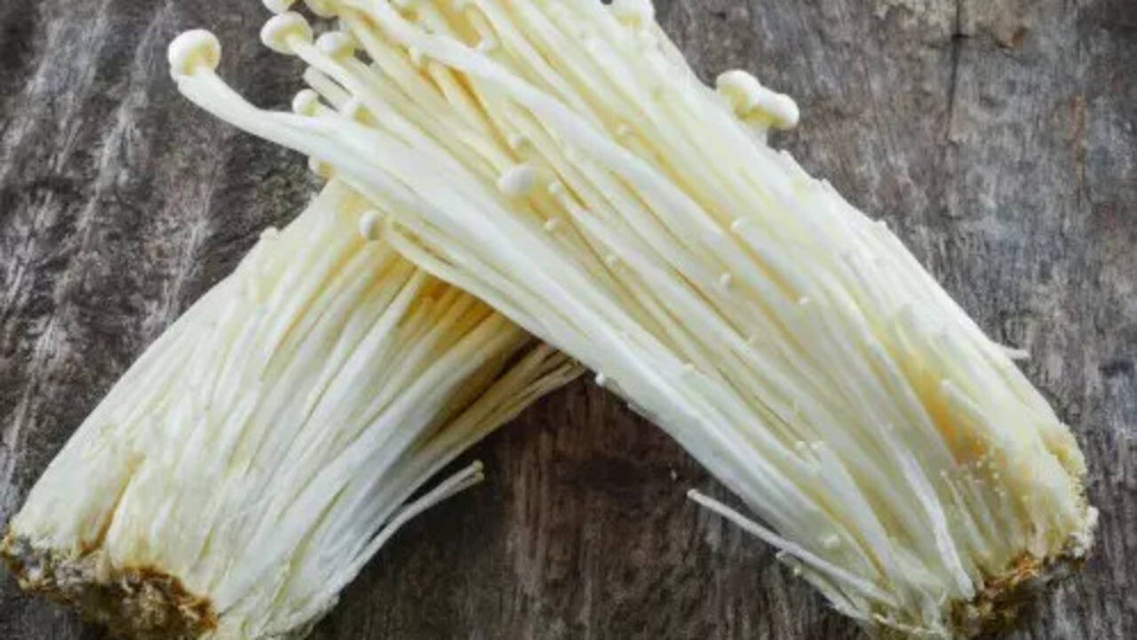 10 Powerful Health Benefits Of Enoki Mushrooms