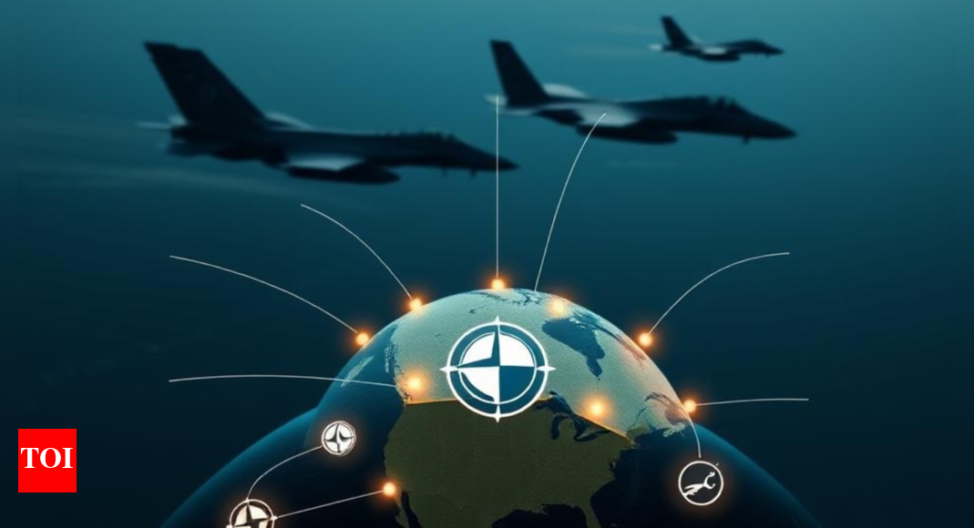 NATO corruption probe 'reminder' of defence boom risks