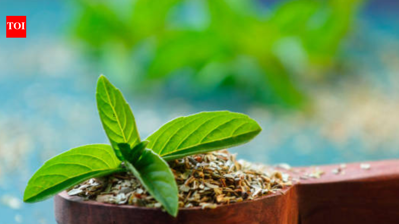5 reasons to include basil in summer diet for health benefits