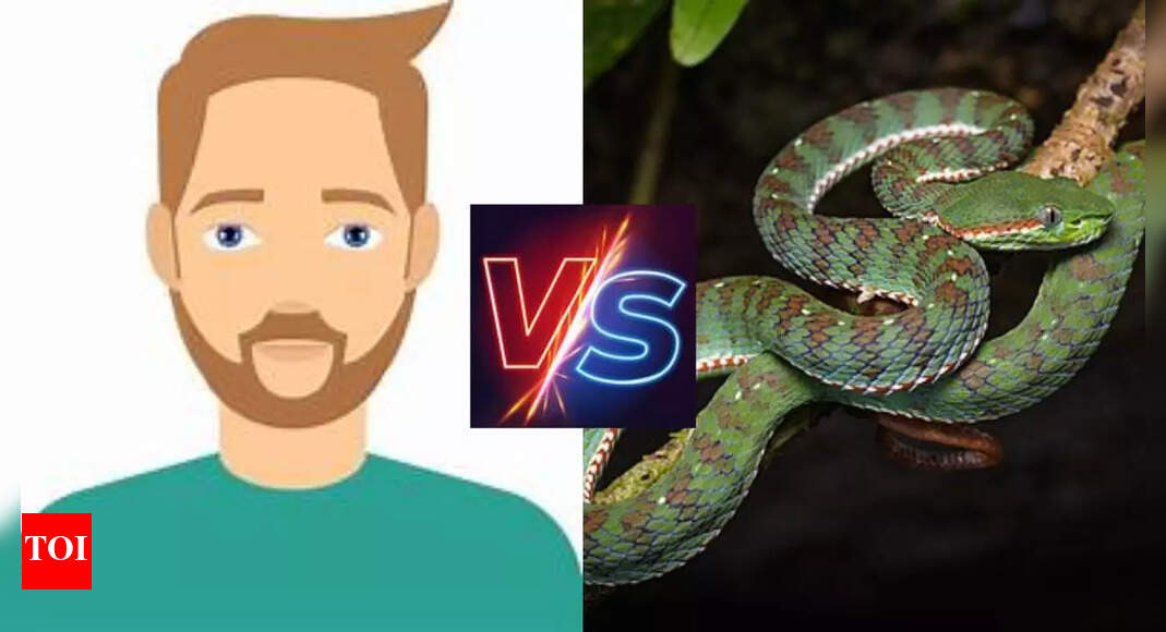 How snakes digest food: Differences from humans