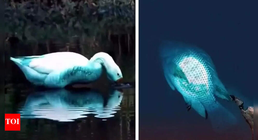 Chemical Spill Turns River Blue, Sparks Environmental Concerns in Brazil