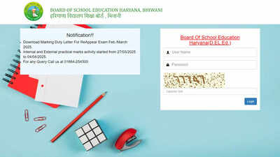 Haryana D.El.Ed. result for March 2025 announced at bseh.org.in: Students can apply for re-evaluation until June – Times of India