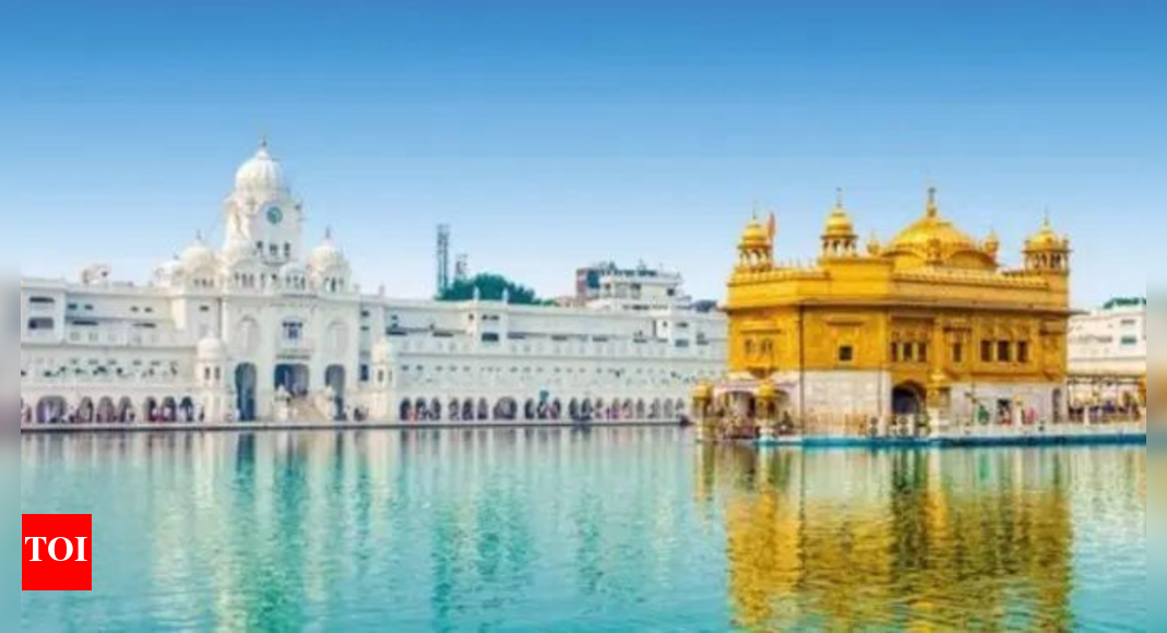 कोई हथियार या संसाधन जो गोल्डन टेम्पल में तैनात नहीं हैं: सेना | भारत समाचार