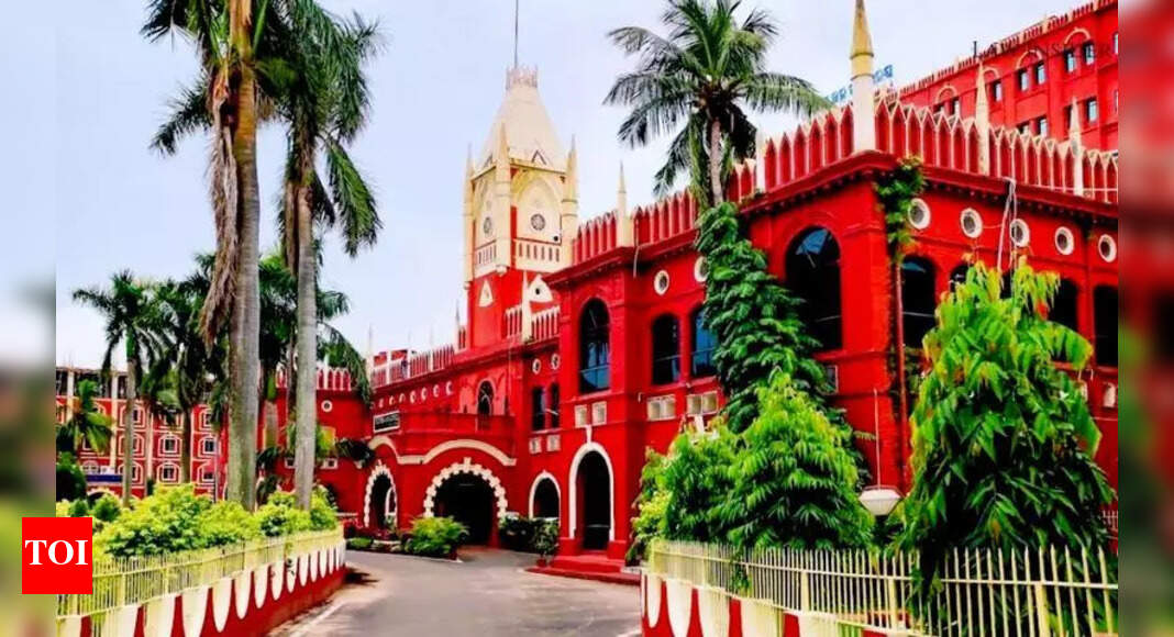 HC Seeks Govt Reply on Baripada University VC Appointment