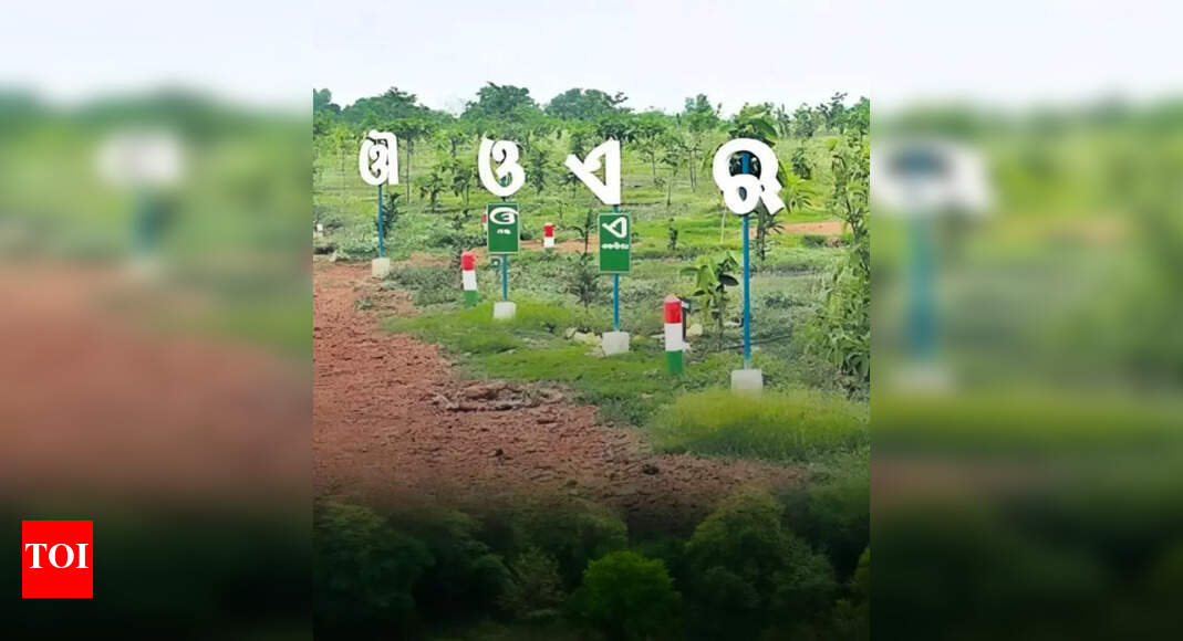 Innovative Plantation Combines Ecology, Culture