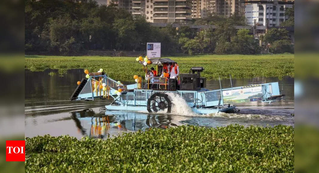 Bengaluru's Sheelavanthakere Lake Receives a Much-Needed Overhaul