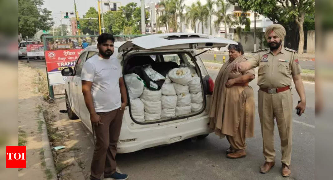 Mohali Police Busts Fake Soya Champ Racket, Raid Factory