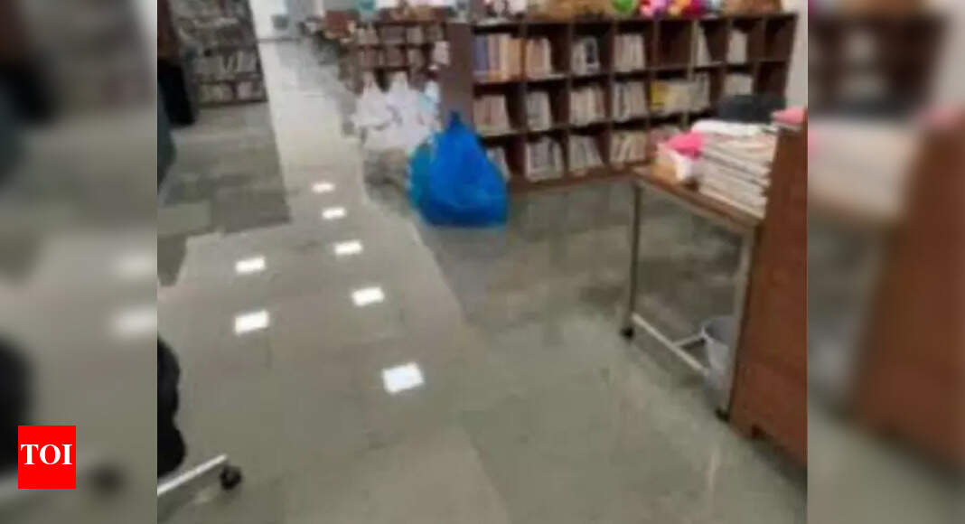Ravindra Bhavan in Canacona Suffers Water Damage After Inauguration
