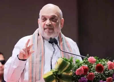 Union Home Minister Amit Shah Home minister Amit Shah backs sustainable, circular dairy economy