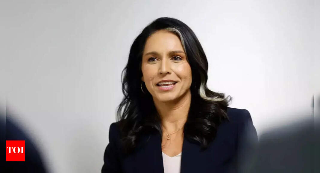 US Senator 'confirms' air marshals followed Tulsi Gabbard on domestic flights last year