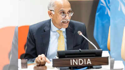 India tells UN Security Council maritime security, counterterrorism key to its national interests