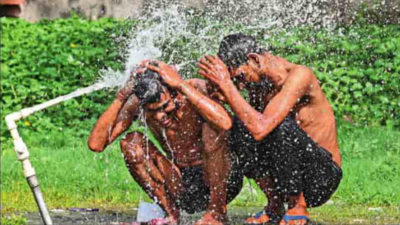 ‘Real feel’ heat rises to nearly 50°C in Delhi