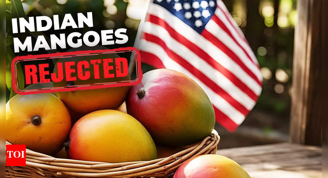 Mango exports rejected! India alleges US did not follow protocol