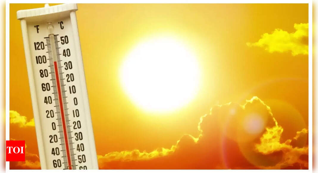 थर्मल वेव की सुरक्षा पर टिप्स: क्यों दिल्ली 40 ° पर “50 °” महसूस करता है, और आप एक आसन्न गर्मी की लहर से खुद को कैसे बचा सकते हैं |