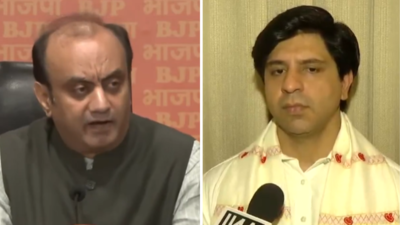 'Ek chawanni chaandi ki ... ': BJP's poetic jibe at Sonia, Rahul Gandhi over National Herald case