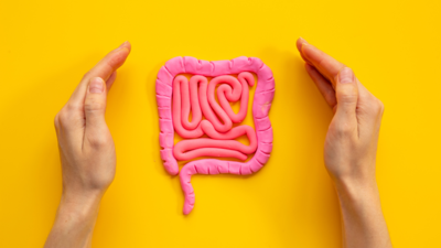 Gut Microbiome and Its Role in Preventing Lifestyle Diseases: The Forgotten Organ in Digestive Health