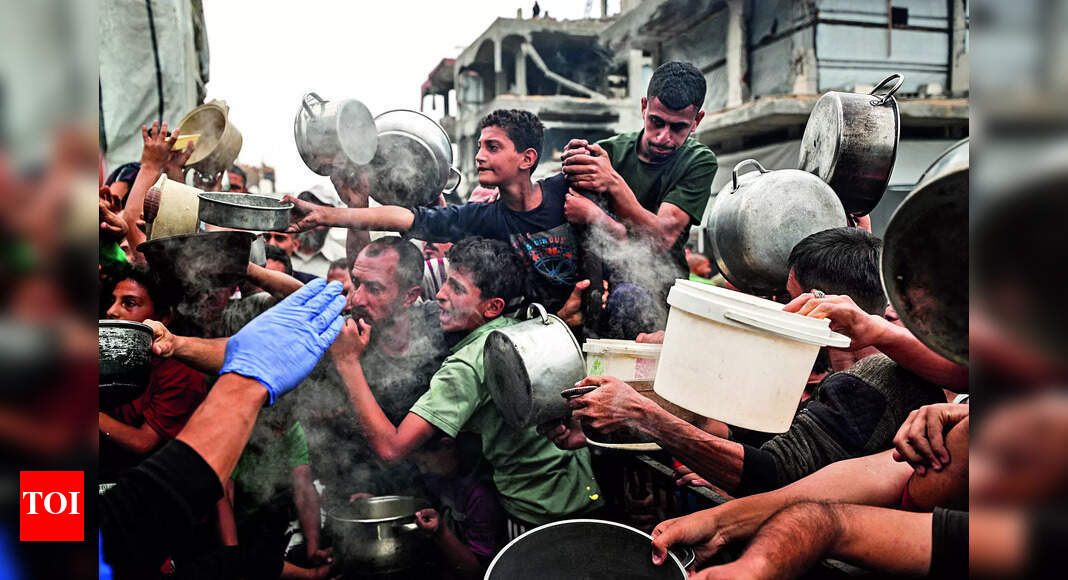 Did United Nations say 14,000 babies would die in Gaza within 48 hours? Here is the truth...
