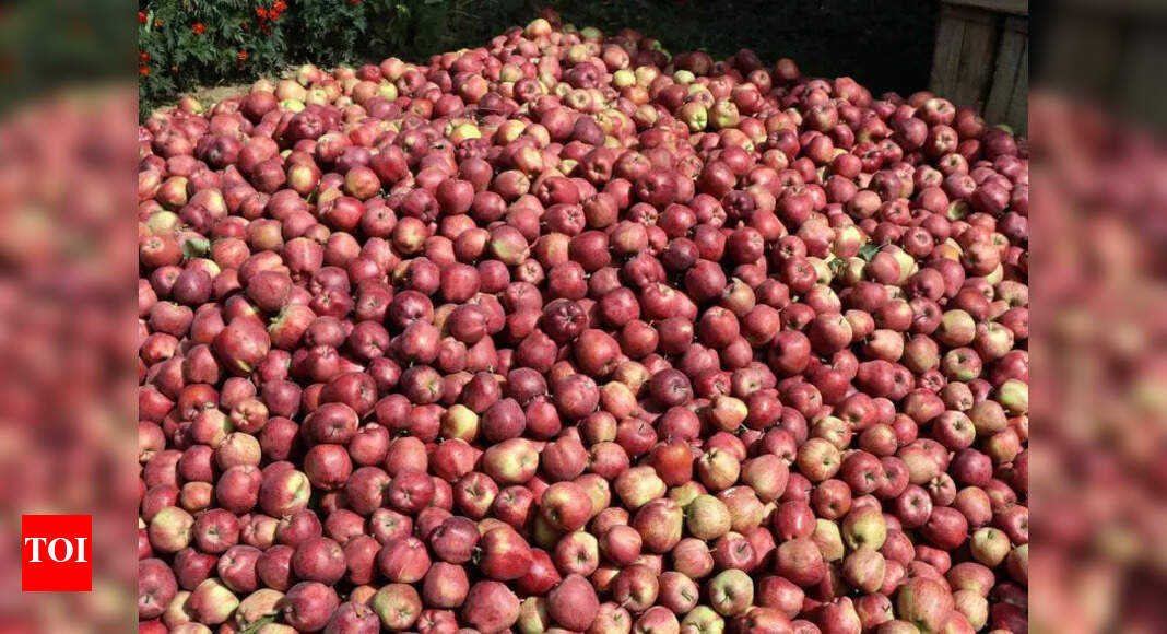 Himachal Pradesh CM Seeks Higher Duty on Turkish Apples