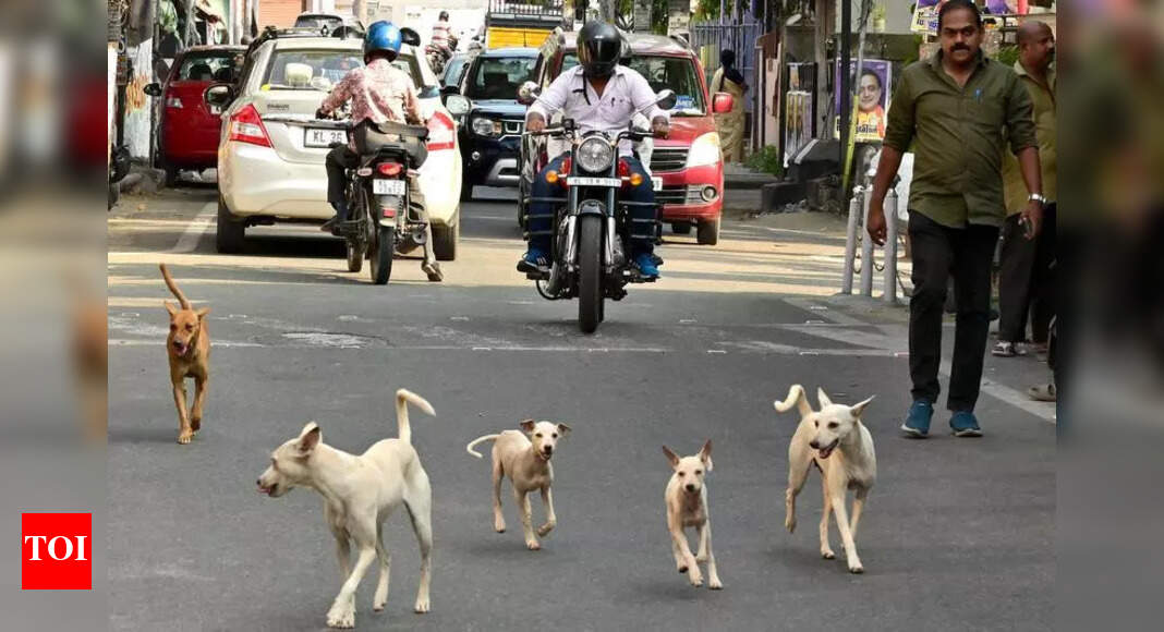 Goa Delays Dog Breed Ban Due to Legal Challenges