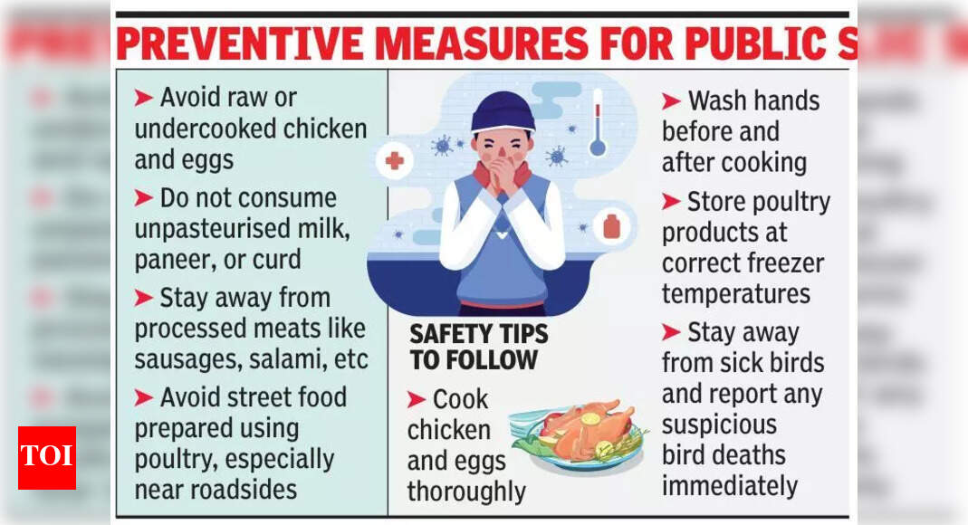 Kanpur Zoo Staff Tests Negative for Bird Flu; Surveillance Continues