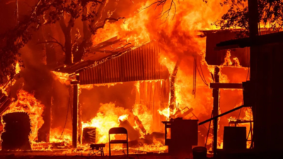 'Red alert': Fires drive tropical forest loss to record high