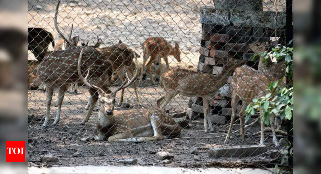 Wildlife Census in Varanasi Division to Start May 26