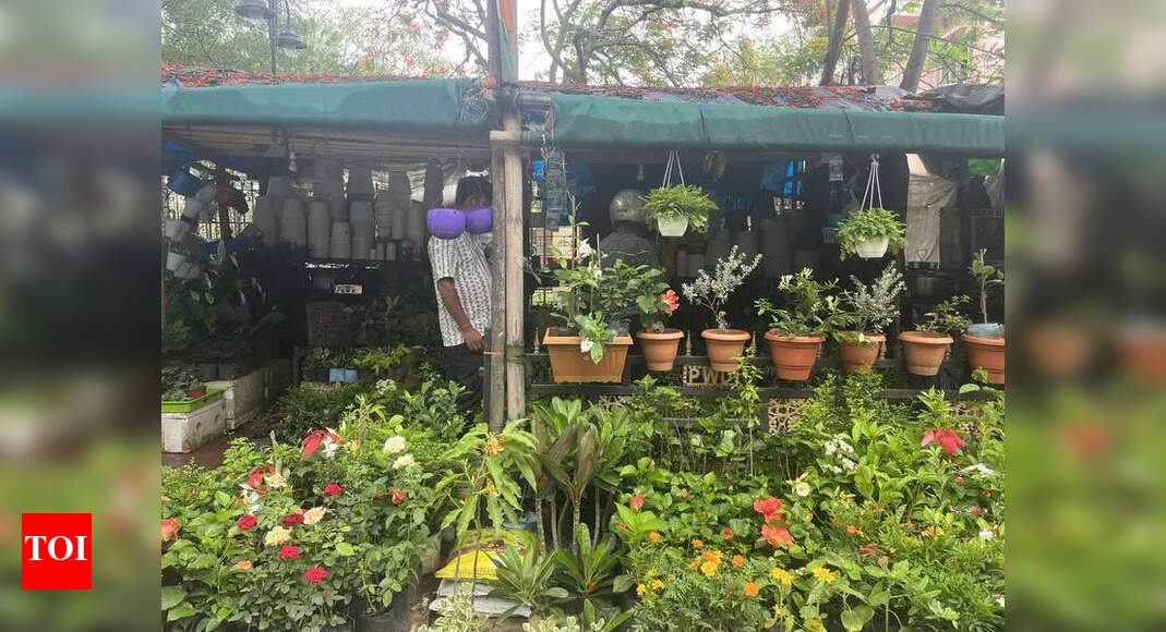 Guwahati Residents Embrace Horticulture, Driving Up Plant Sales