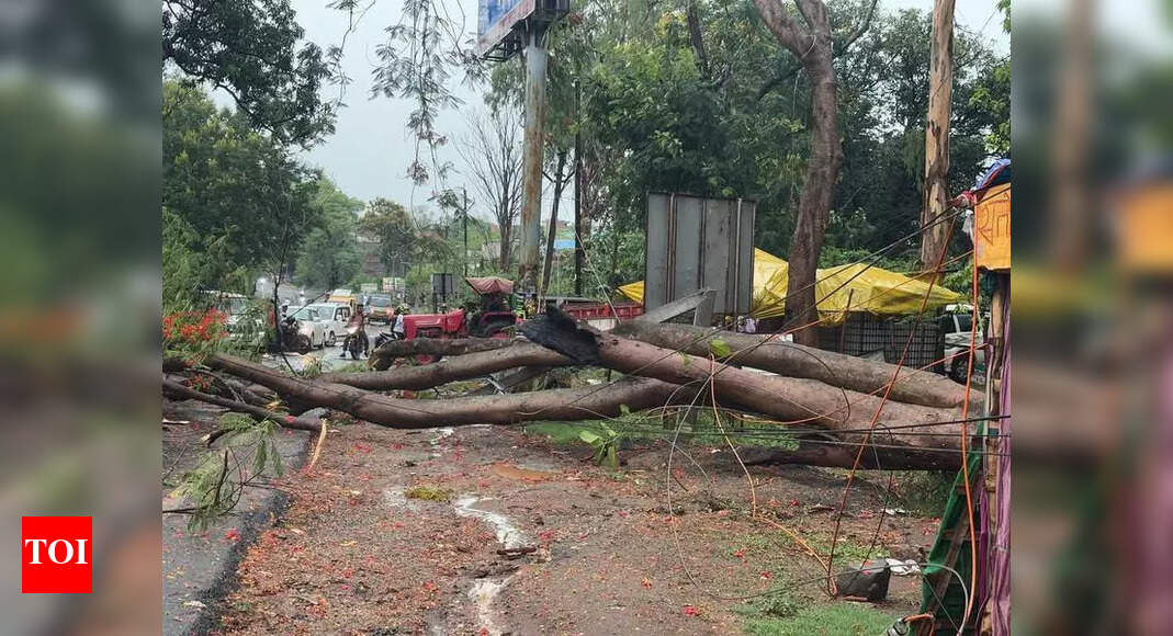 More Thunderstorms Predicted; Lightning Claims Lives in Hazaribag