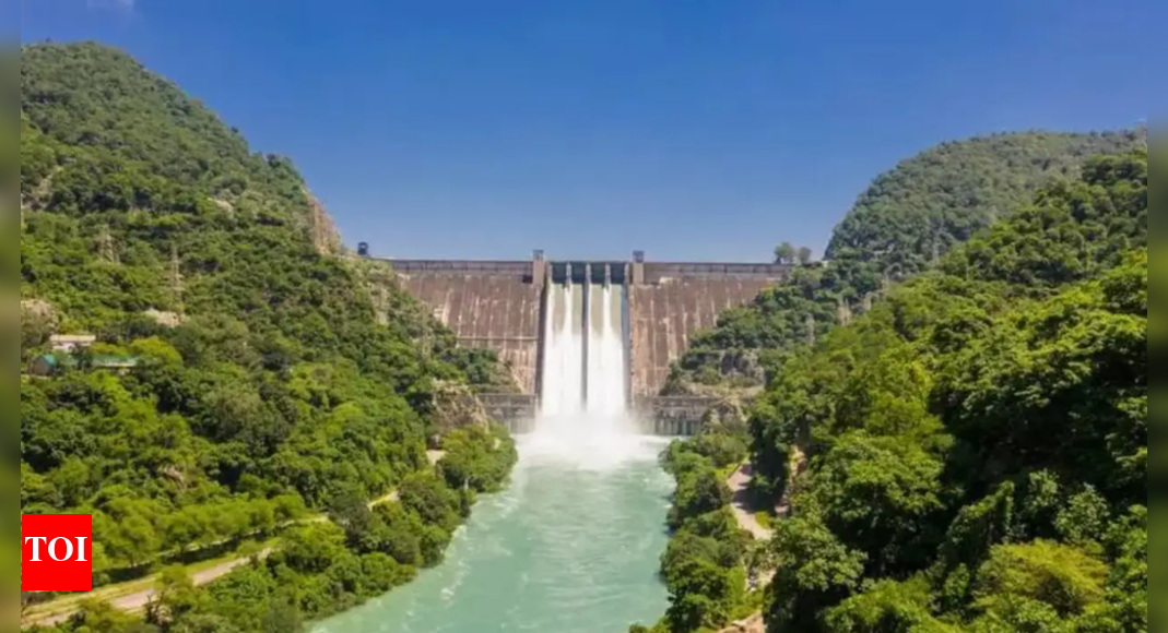 Punjab-Haryana water dispute: Centre decides to post CISF at Bhakra dam