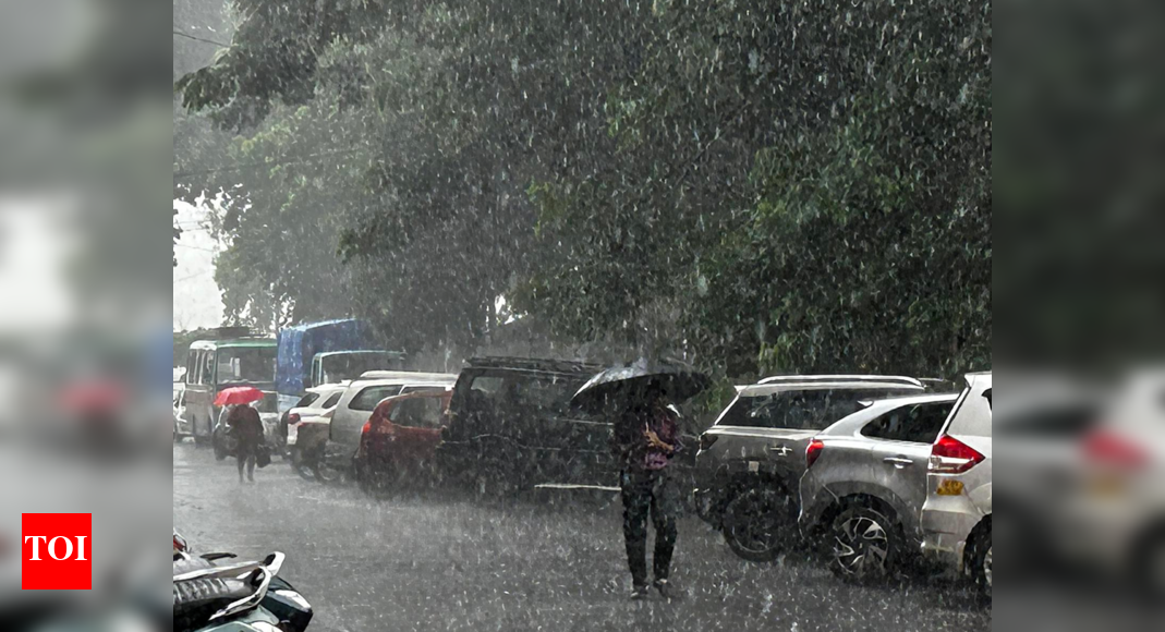 350 shaky trees identified as Panaji preps for rains | Goa News - Times ...