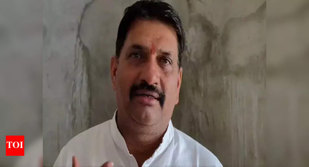 Rajasthan HC Grants Relief to Congress MLA Indira Meena