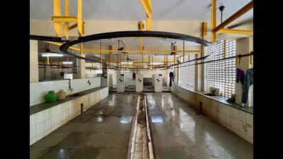 Govt-operated slaughterhouses in Chennai plagued by poor hygiene and lack of regulation