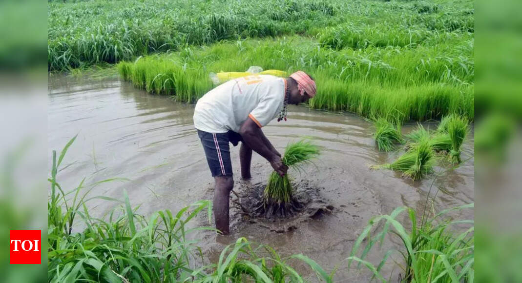Govt. Forms Body to Boost Agri Enterprises in Uttar Pradesh