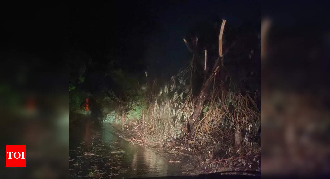 Storms Cause Widespread Disruption and Power Outages in Multiple Regions