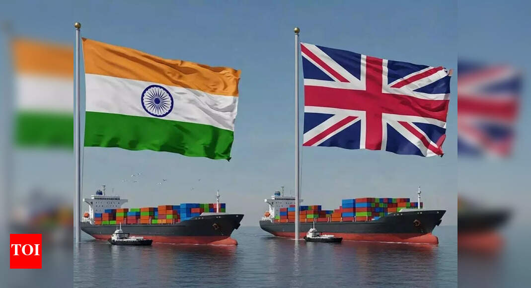 India, EU may finalise interim FTA by July