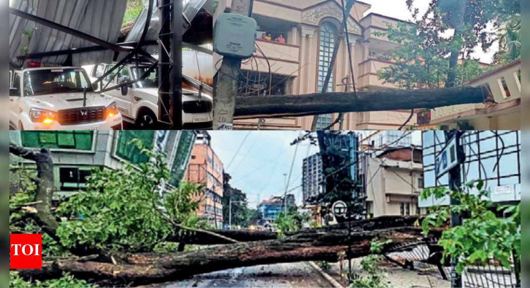 Bengaluru wrecked again as 25 trees fall in storm, biker killed in Koramangala