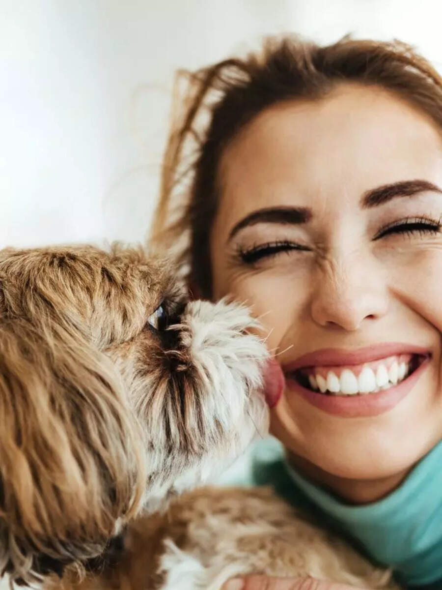 10 beautiful and intelligent animals to have as pets