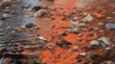 Mumbai's Sakinaka became a river of garbage. Floating garbage: Rain reduces Mumbai to sea of trash - watch viral video