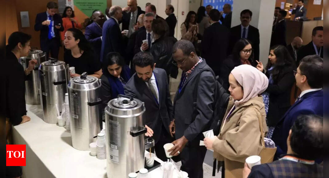 Chai pe charcha goes global: India marks 'International Tea Day' at UN