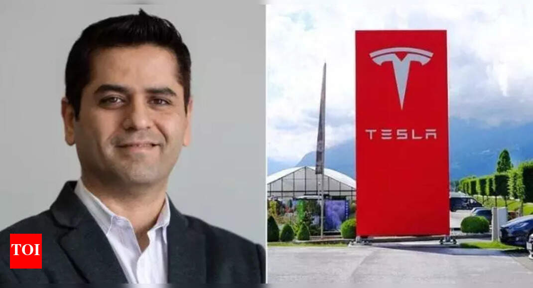 Vaibhav Taneja educational qualifications: How this DU graduate became the CFO of Elon Musk-led Tesla