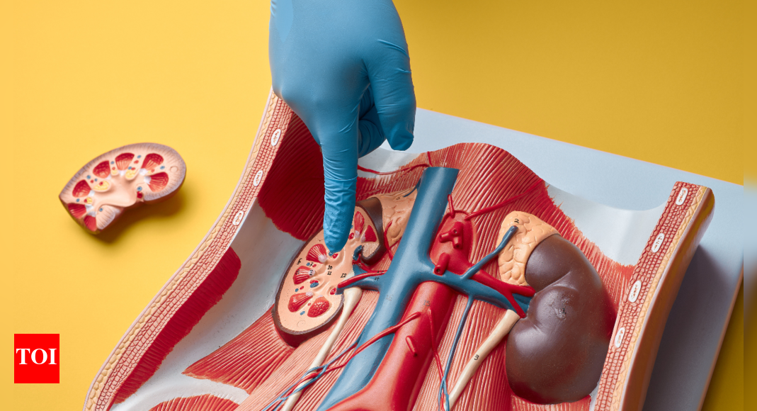 Kidney stones: 5 early symptoms that should not be ignored