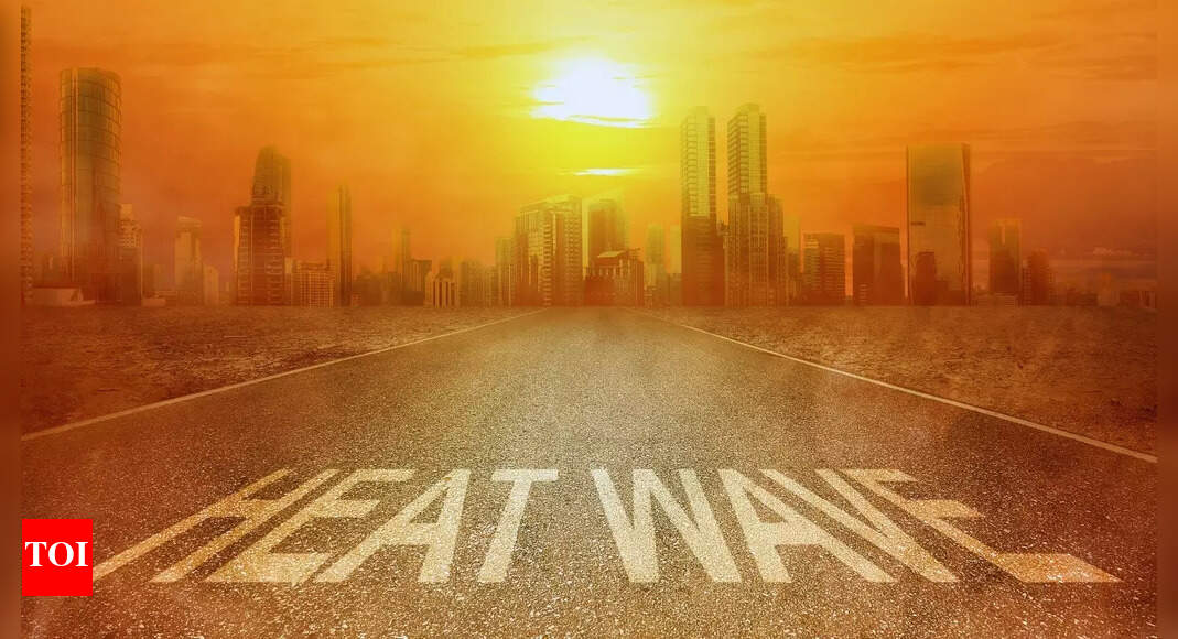 Ludhiana Health Department Issues Heatwave Advisory