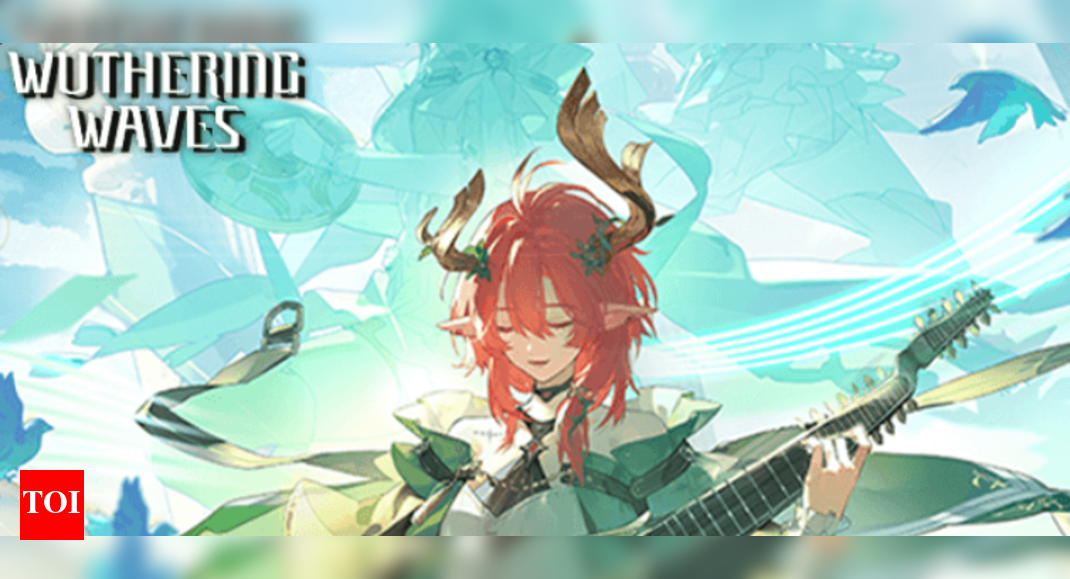 Wuthering Waves: Optimizing Ciaccona with Best Builds