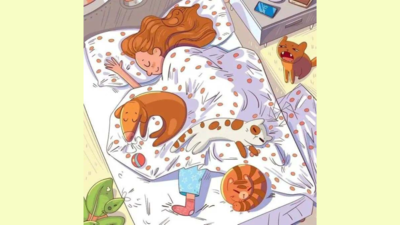 Optical Illusion: Only 2% people can spot the bee in this girl's bedroom