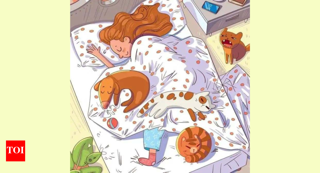 Optical Illusion: Only 2% people can spot the bee in this girl's bedroom
