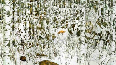 Optical Illusion: You have high visual prowess if you can spot 2 travellers in this snowy landscape