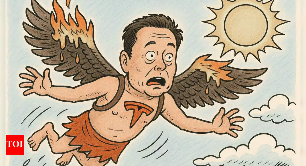 Inside story of Musk's 'DOGE'y exit from Washington