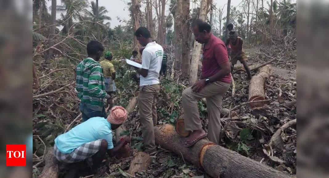 Kerala Government Fells Trees, Earns Billions in Revenue