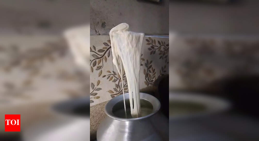 Probe Initiated After Milk Turns Rubbery, Viral Video Surfaces