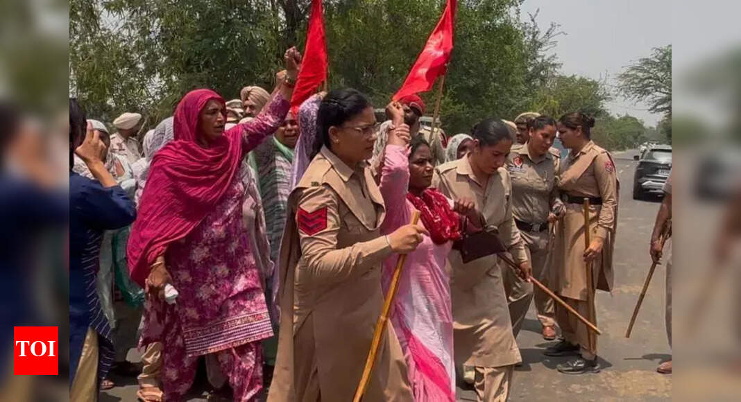 Punjab Land Dispute: Dalit Activists Arrested in Land Possession Protest